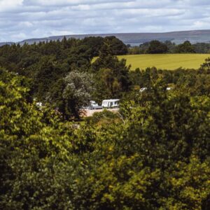 Find out how you can support out Heritage Woods at Thorpe Farm Centre