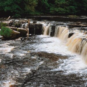Head over the border into North Yorkshire to see Aysgarth Falls