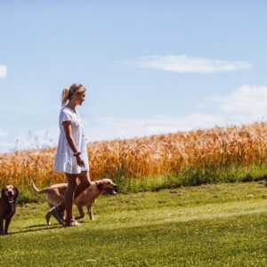 Enjoy more local walks at Thorpe Farm Centre