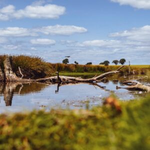 Walks in North Yorkshire - Thorpe Farm Centre