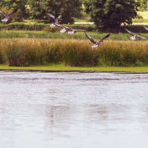 Local Walks and Cycle Routes