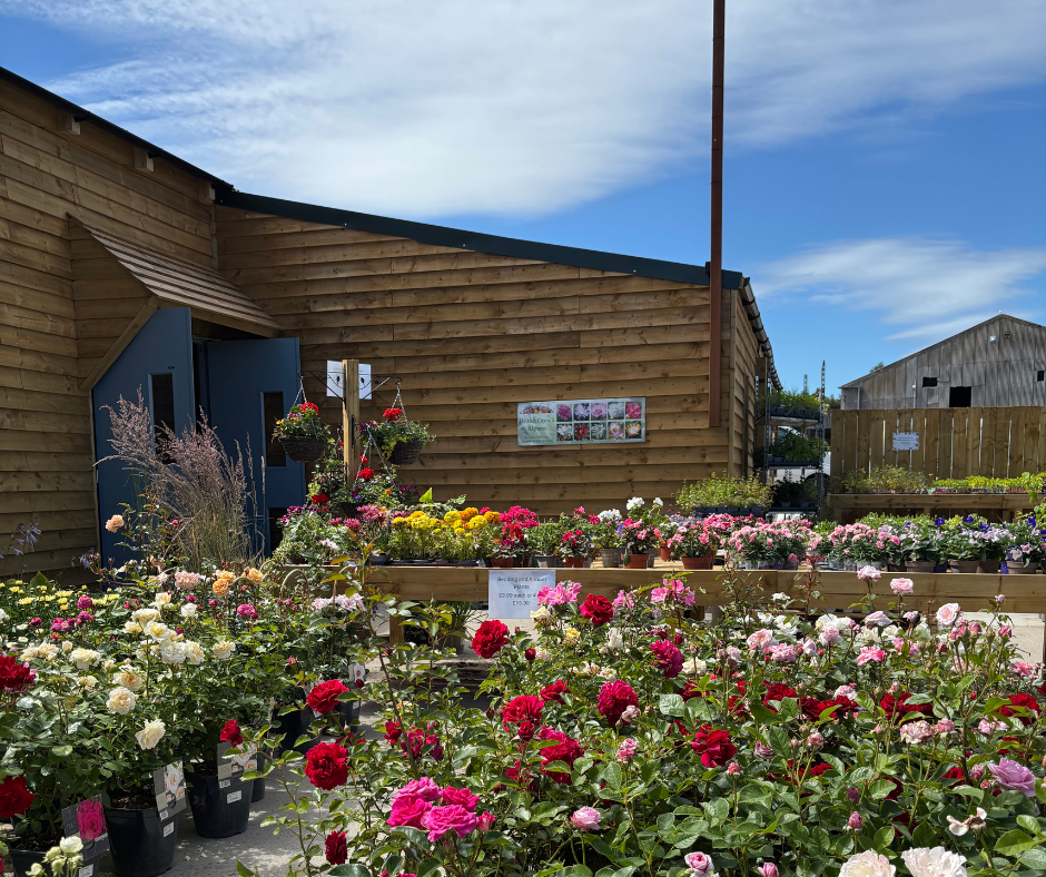 Garden Centre