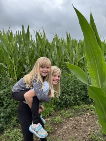 maize maze near me