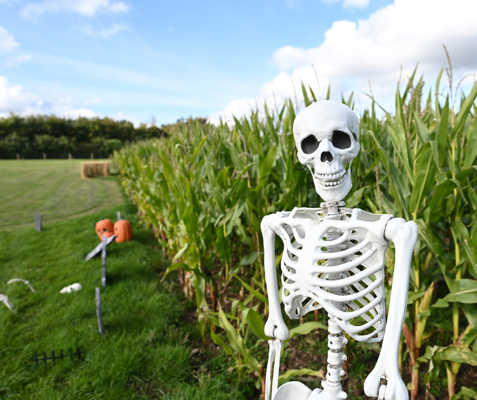 halloween trail